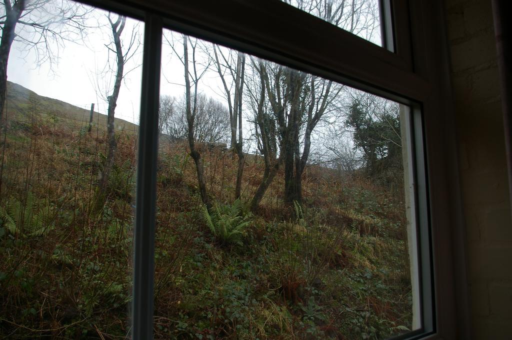 Yha Snowdon Ranger Llanberis Quarto foto